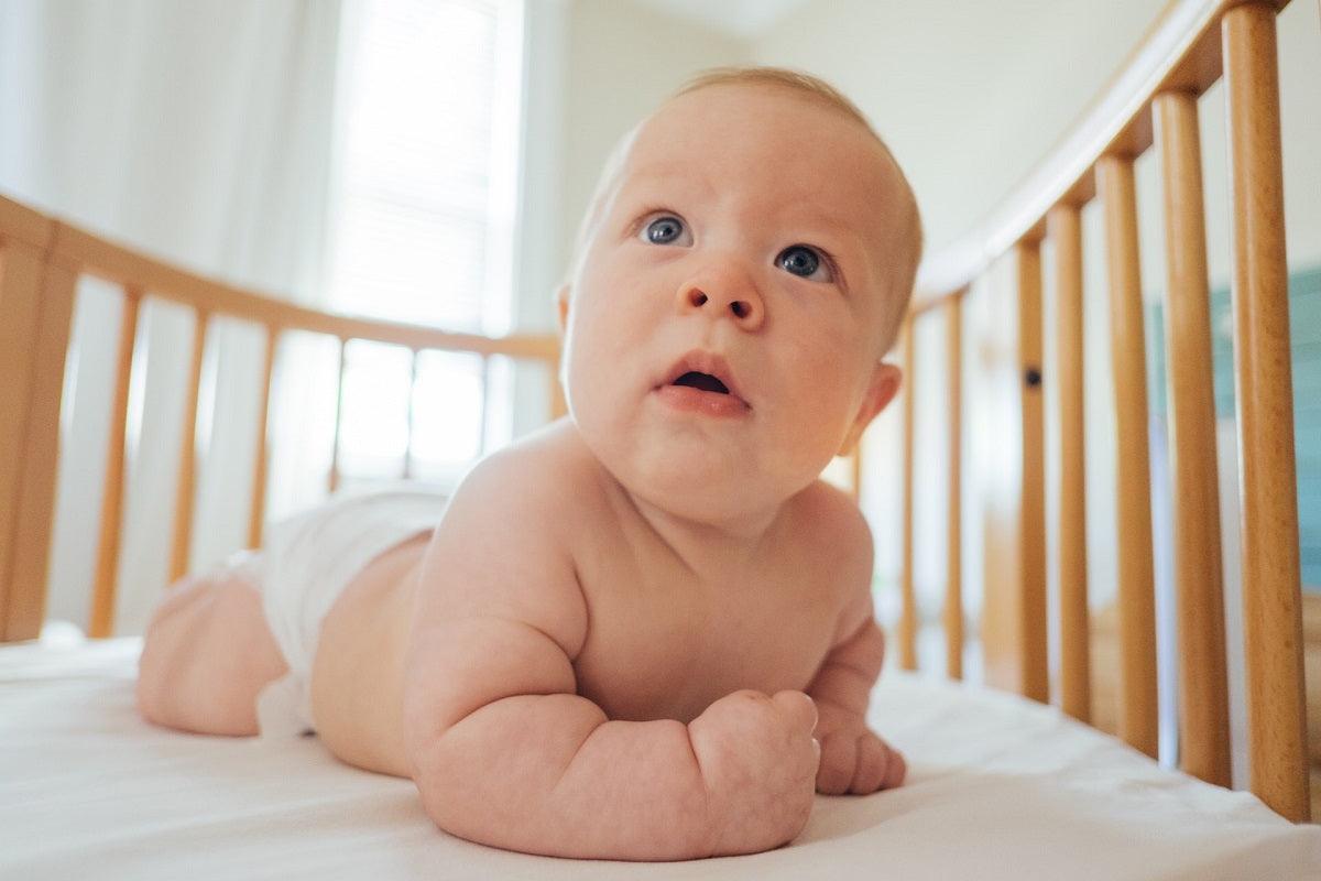 How To Give Your Child A Fuss-Free Langot Experience? - Baby Moo