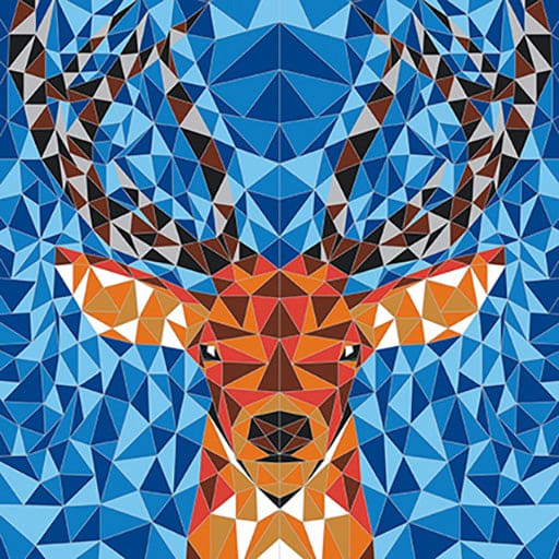 Janod Scratch Cards Animetrics - Multicolour