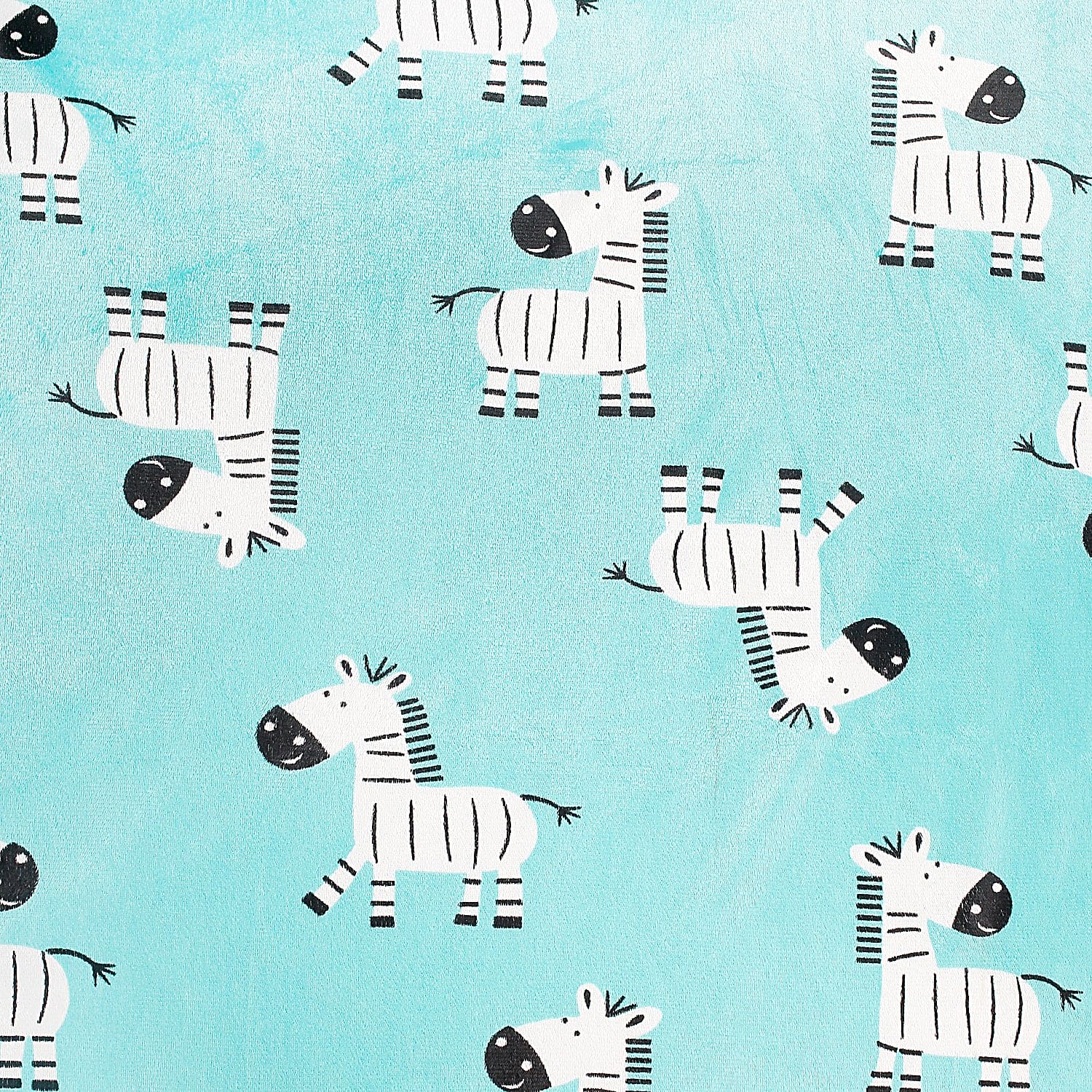 Zebra Aqua Blue Blanket