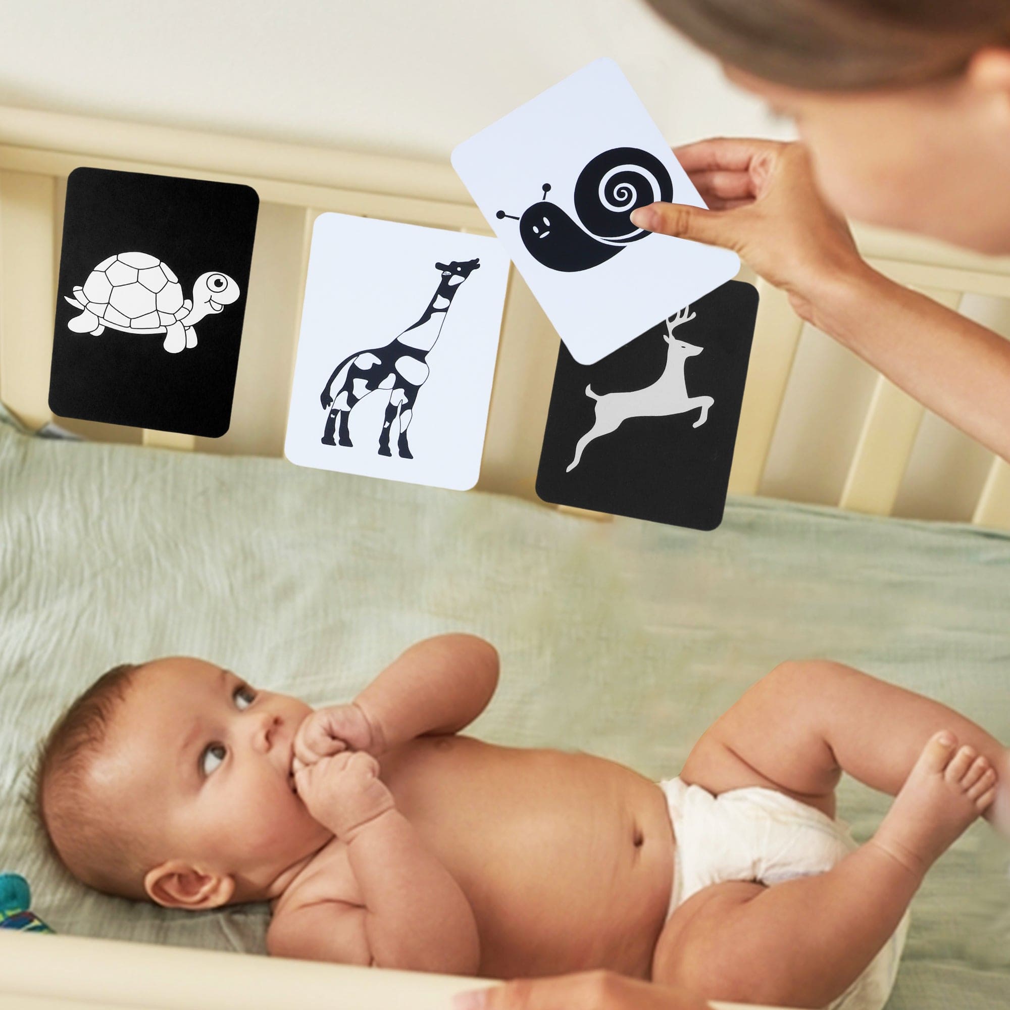 High Contrast Flash Cards 36 Cards - Bundle of Animals And Objects And Vehicles And Patterns - Baby Moo