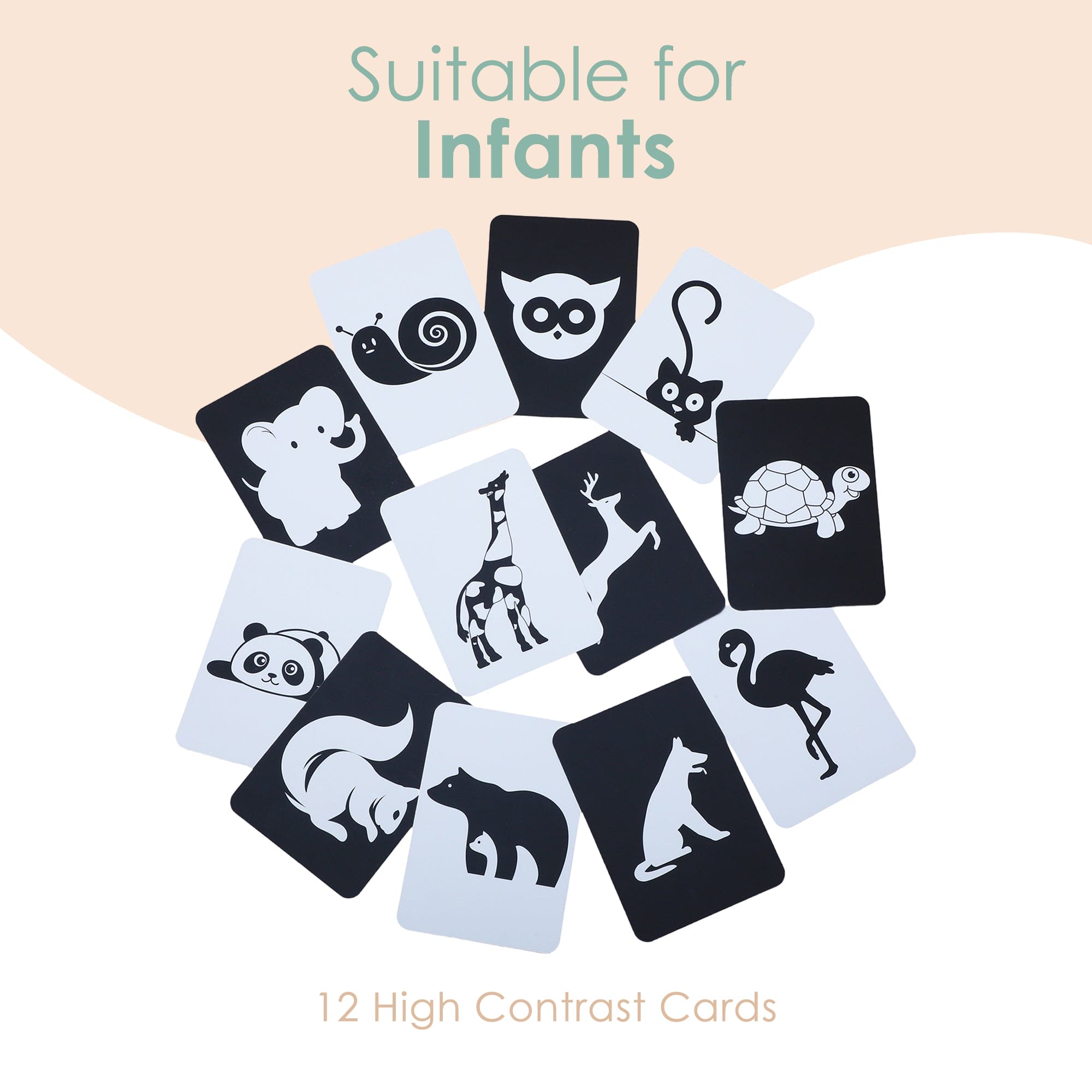 Baby Moo High Contrast Flash Cards Pack of 12 - Animals