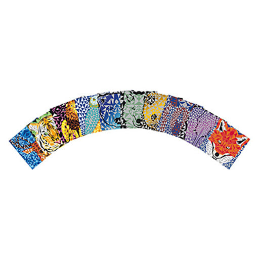 Janod Scratch Cards Animetrics - Multicolour